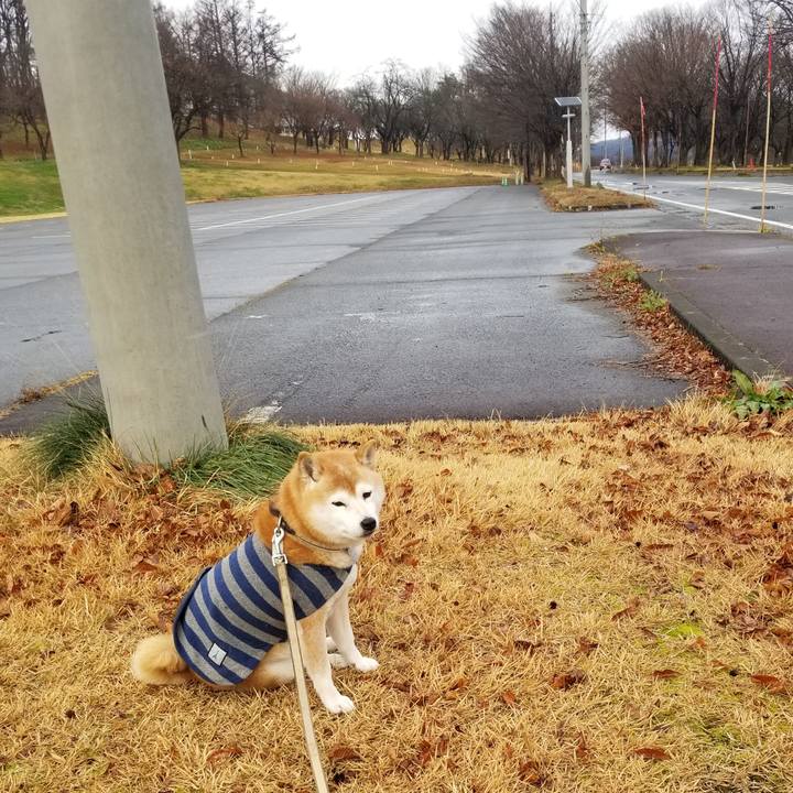 524234d5 79d7 46c3 8239 97ab5c5c4e32 1669960007687