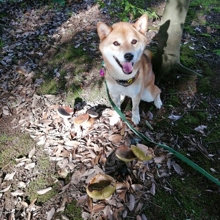 52427314 a952 4c59 a55c 5311ec4b2725 1626339297452