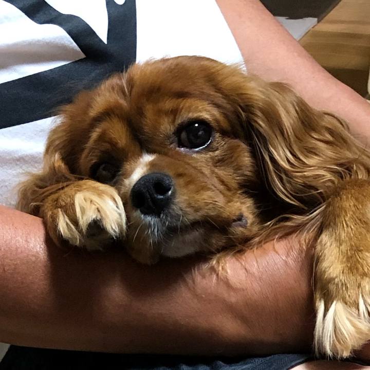 52429f1e 5c8e 4310 9f99 8723dcdbc517 1596710367445