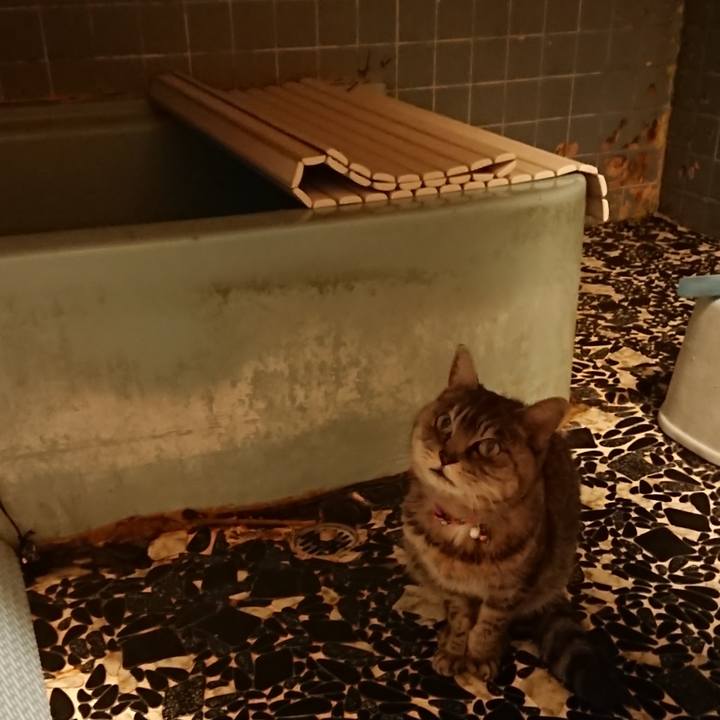 5242d9c0 48c6 4e25 b9b3 b8ed6f241216 1579510331184