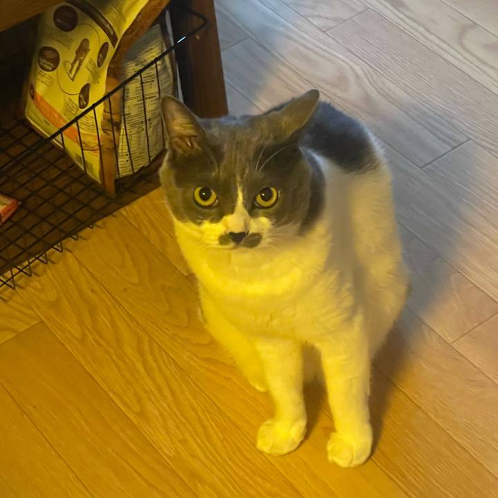 5242da53 8ab4 4ef5 81be c51f663fab0d 1755039015912