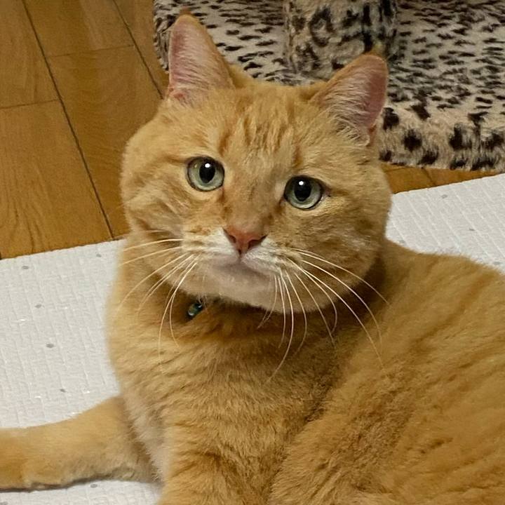 5242f37b 2444 4810 9051 15c45490639b 1642331651535