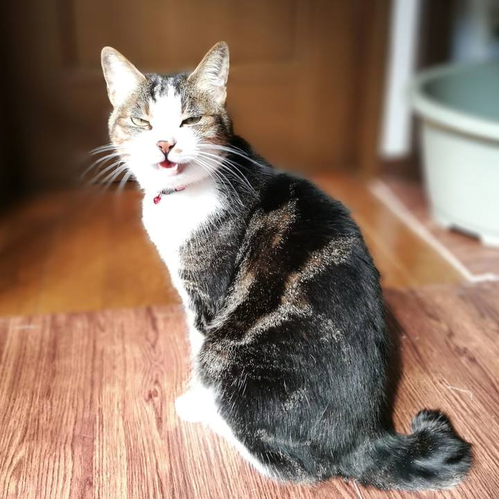 5242fea6 bd57 4496 8b73 46ab1b931aa9 1557443267965