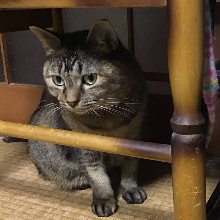 52432019 4f15 4c16 844b c44fe180e0f1 1732439025551