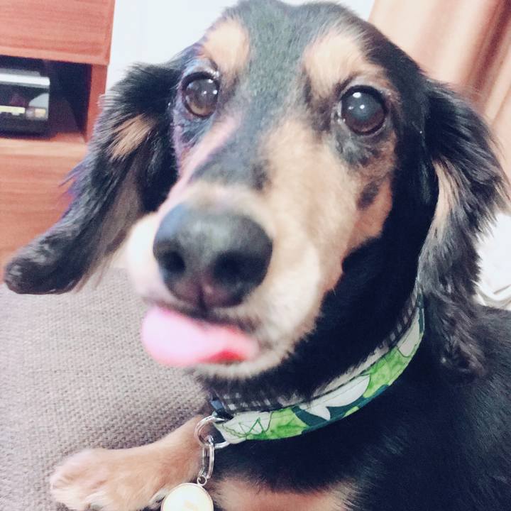 5243257b 30d6 4eef 9944 8eaff9d0df07 1508761473574