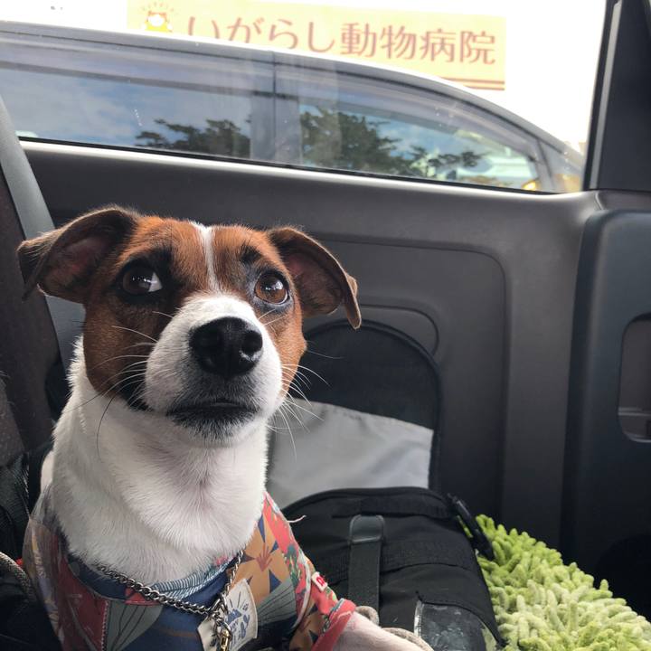 524328fb 424e 4bb4 b075 b647fa7411f3 1598752532400