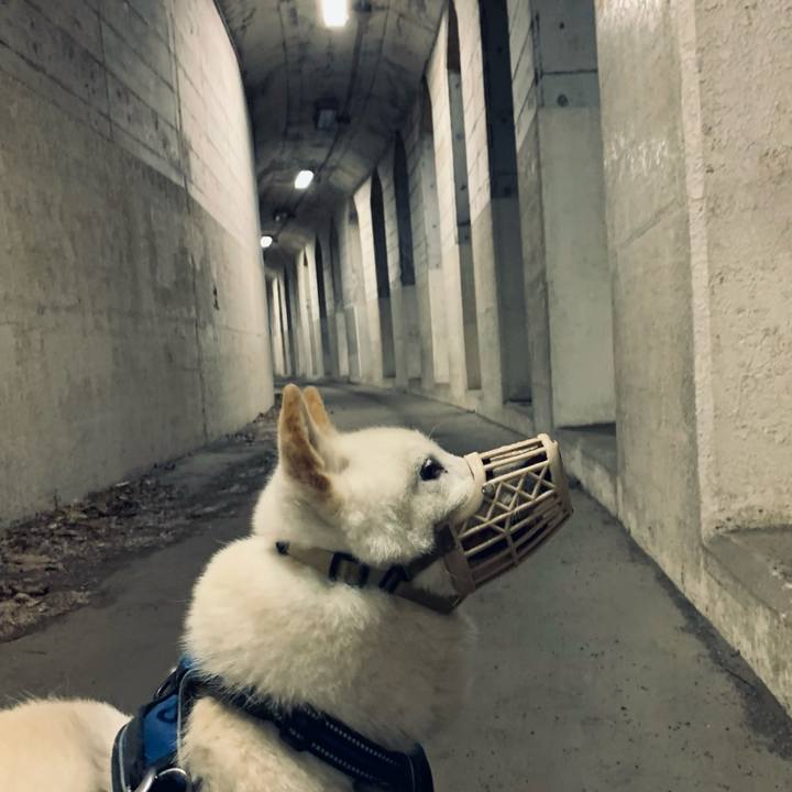 5243386c a4f2 4fc7 a974 ebbee405f630 1623703877592