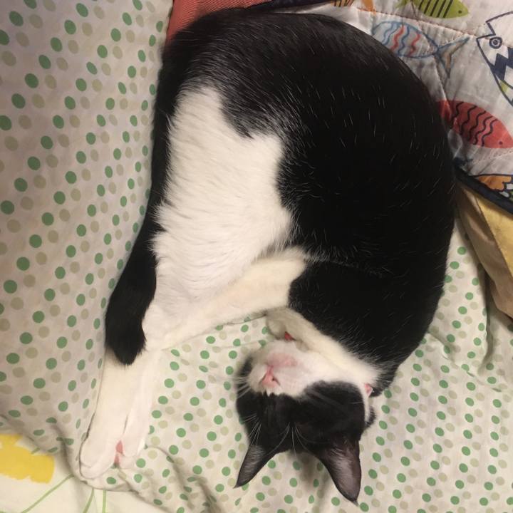 52434d45 2f47 48ce ada0 cb8463ef2522 1576986516716