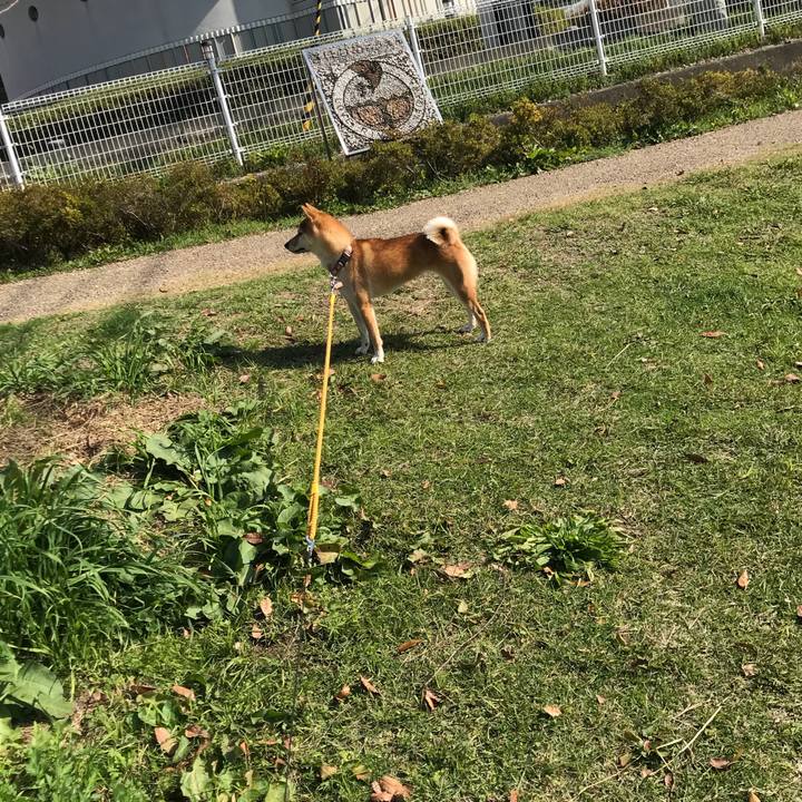 5243780b 216e 47ca 8e84 7eb96753a935 1541946332141