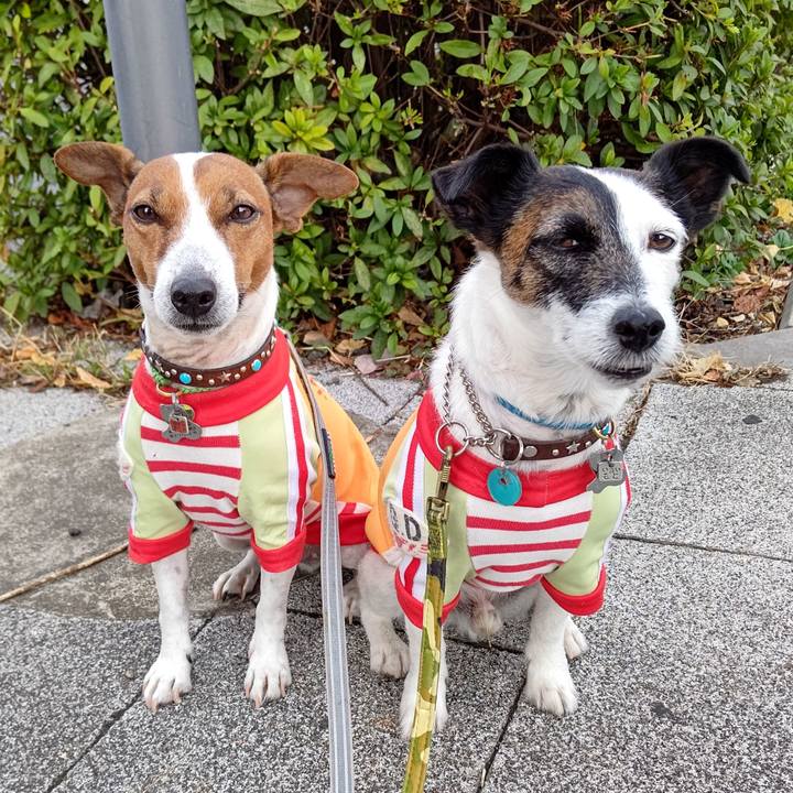 52438f88 a2f7 4d1f a4e0 100e65452591 1668726725477