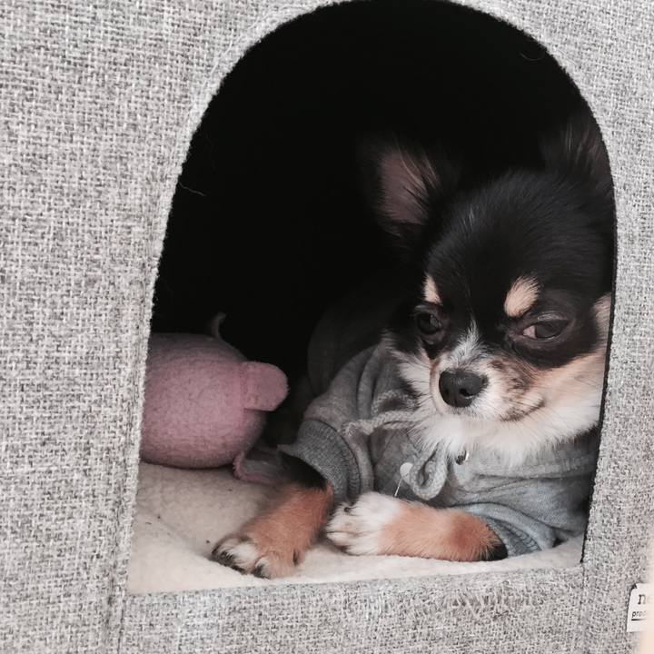 5243b422 12b3 432d af7f cfc9a826d563 1515505917798