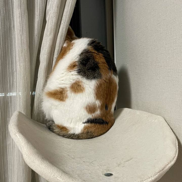 5243f056 81b6 4c87 a1c8 1f045d965371 1616418726794