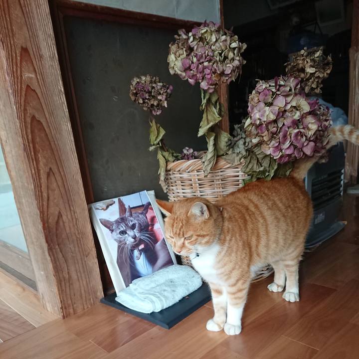 5243f360 5774 4155 a1e2 7e21c9697f17 1607833398974