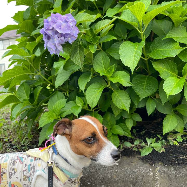 52444be2 b175 4cac a102 cb398a3fb8e3 1629277368916