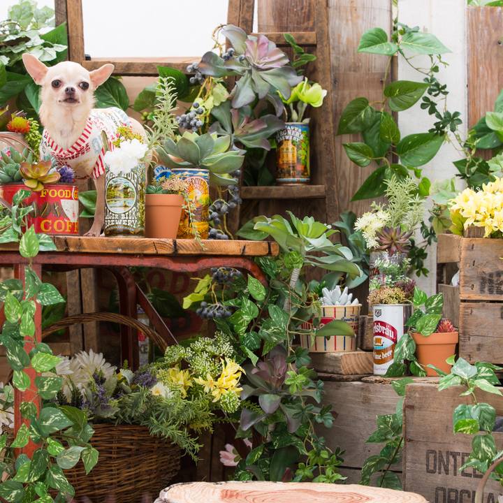 5244533d 6e54 4e7f 8ddc d9ea89bf2d91 1525062926246