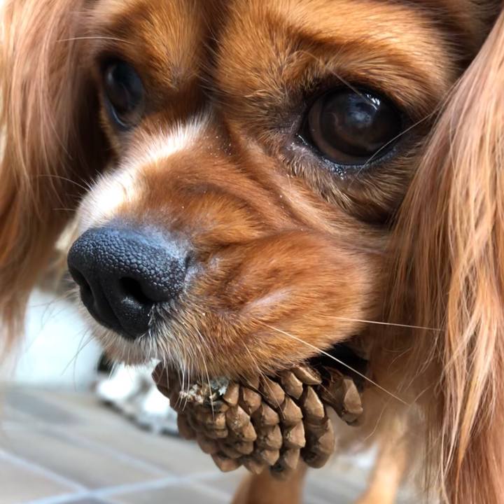 524453d9 a27d 4943 ae2f 5aaed89ffb3d 1558879392694