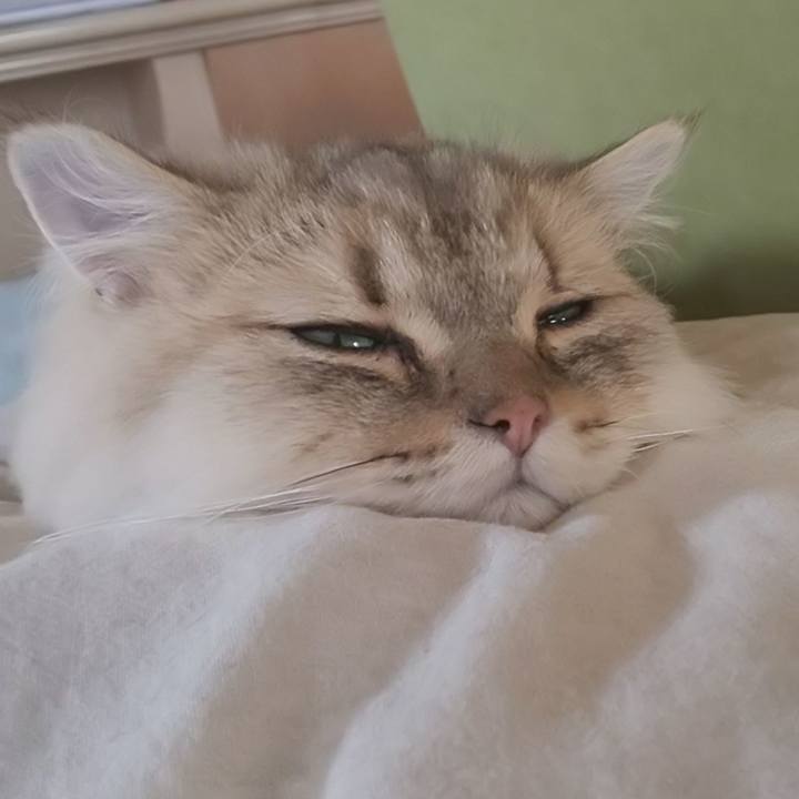 52445d23 8468 444c b7bd 09e9afab1c24 1599274994408