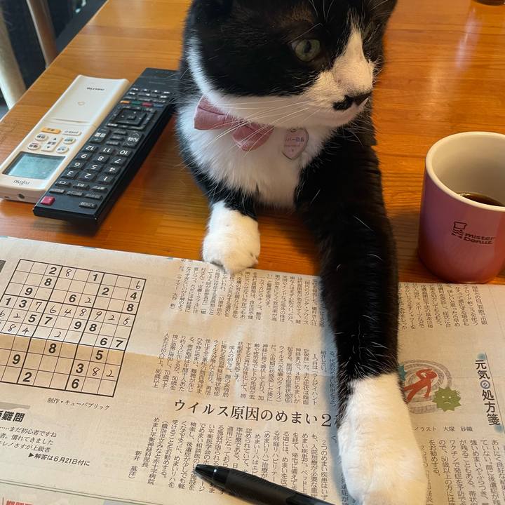 52445e00 388f 4b4f 8df4 64f5c326f7f3 1749949697372