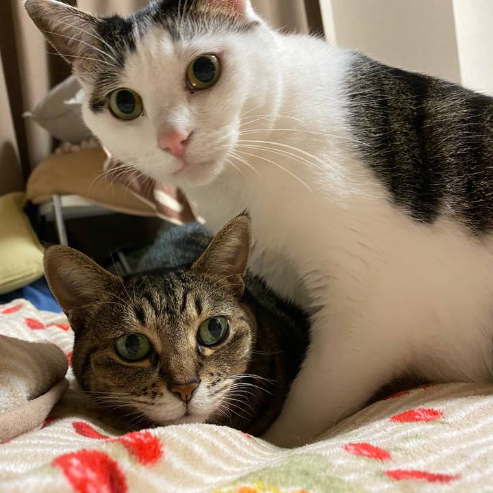 5244a0ea f717 493f 99bd 195ef8ada24d 1766742156703