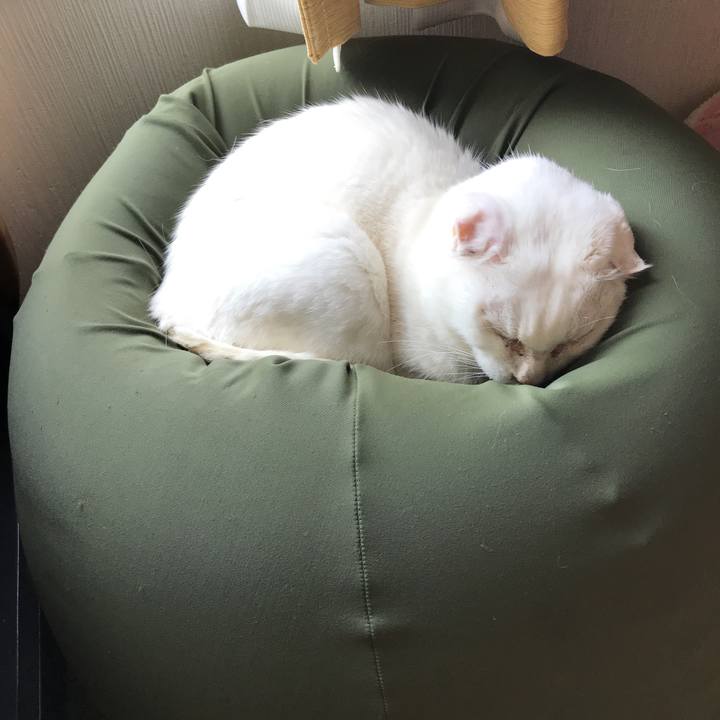 5244a736 feee 45c4 83d0 7f11f0df4bd8 1518662568607