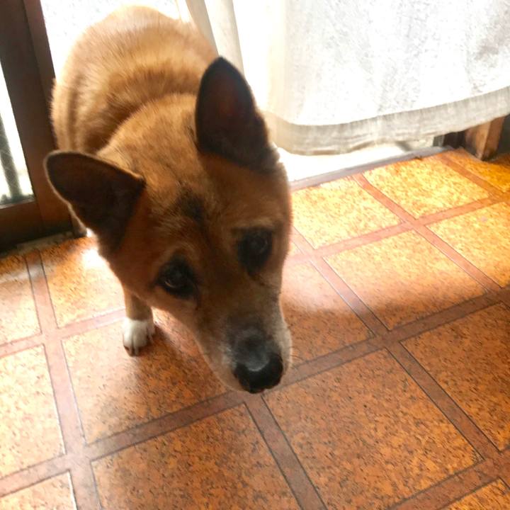 5244ea16 76d6 4b77 bf37 fac847fc9379 1527029943732