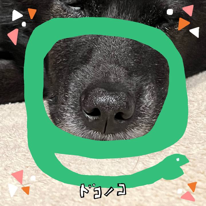 52454708 51bf 4a41 9e41 94d5a381053a 1741490001608