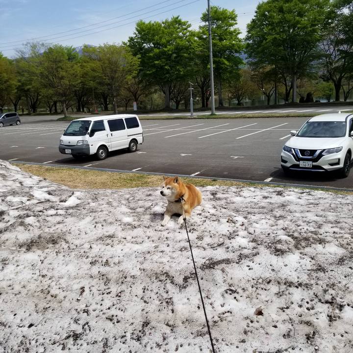 52454ba1 e47a 4d9b b743 c639026ff69a 1651115307268