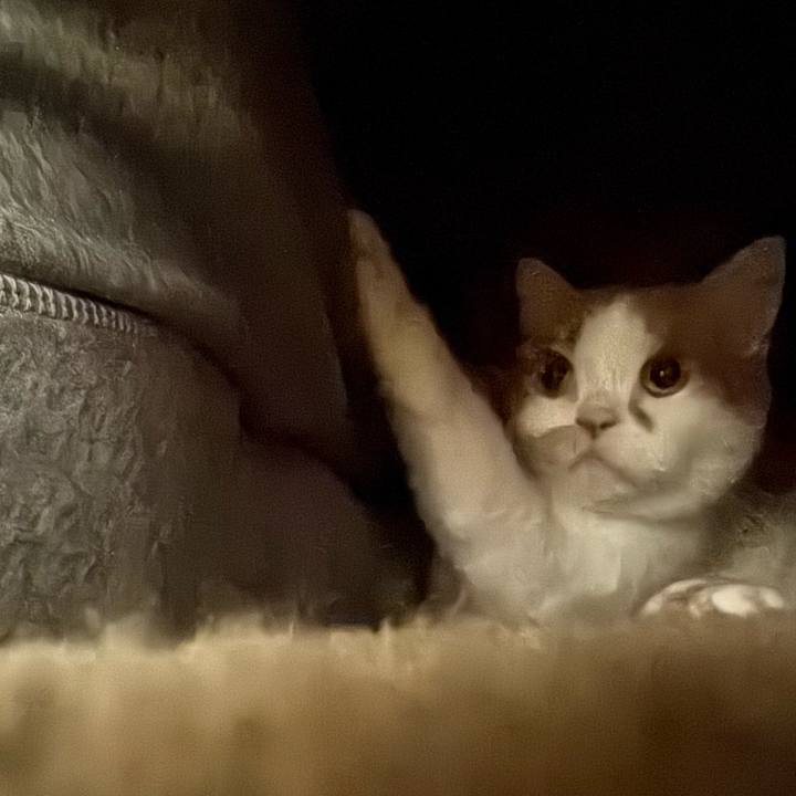 524553e2 64c3 4ca6 801b 0d2d50a8ad85 1762726101490