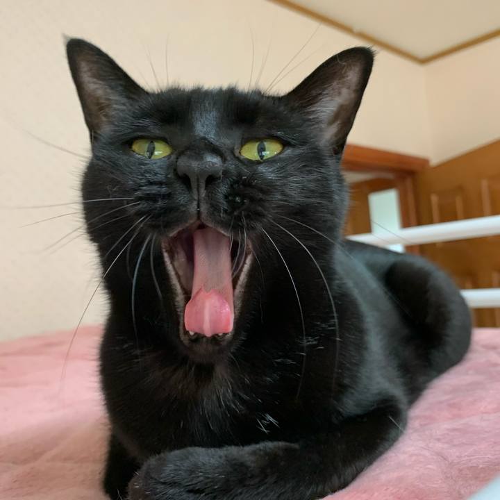 524570a4 d3e3 41ab 8956 f8b0d6f113df 1589675389055