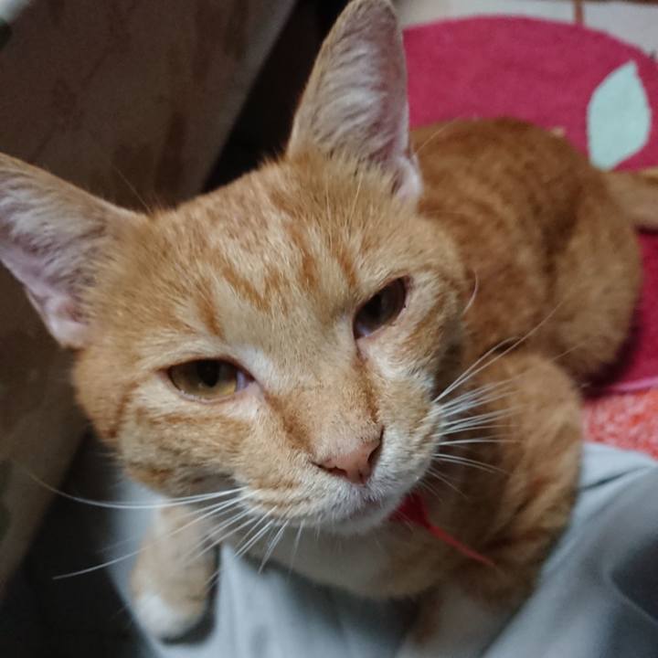 5245713f 9d8d 44c3 9af5 dae7323830c4 1569289896618