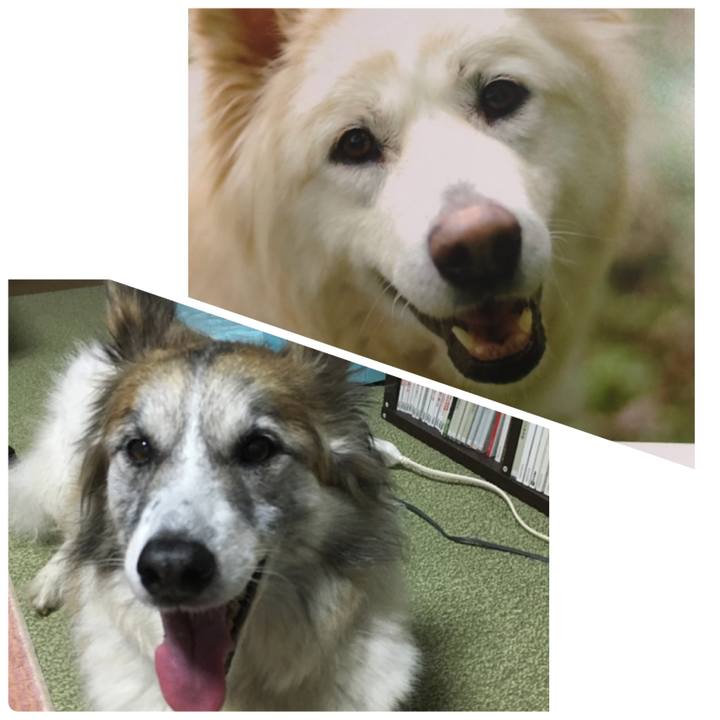 5245aa49 3da1 484c b7cd 909c92f94c68 1578355890071