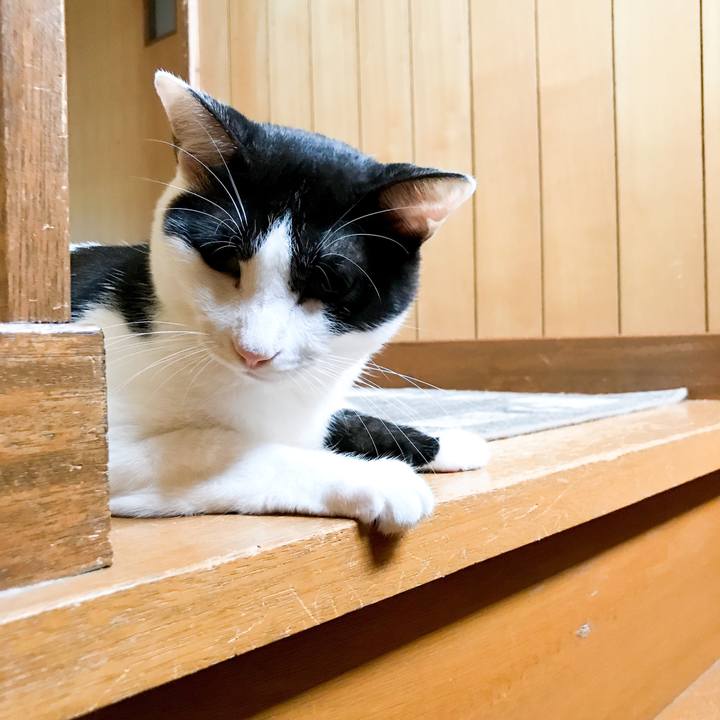 5245e76d d6b5 476d 94bd 4917074d718f 1534948515597