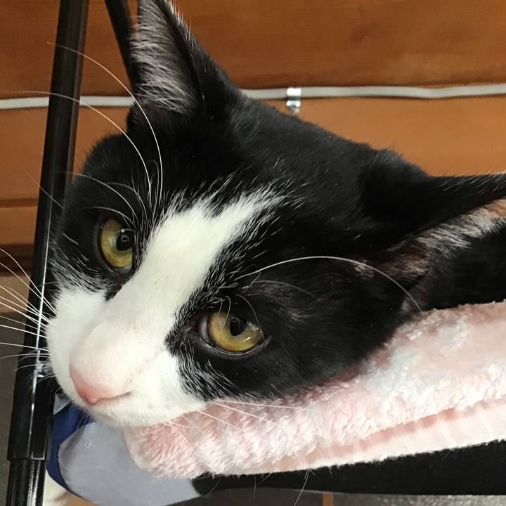 5245f84d 18dc 4fda b042 e74874c9277a 1643680218220