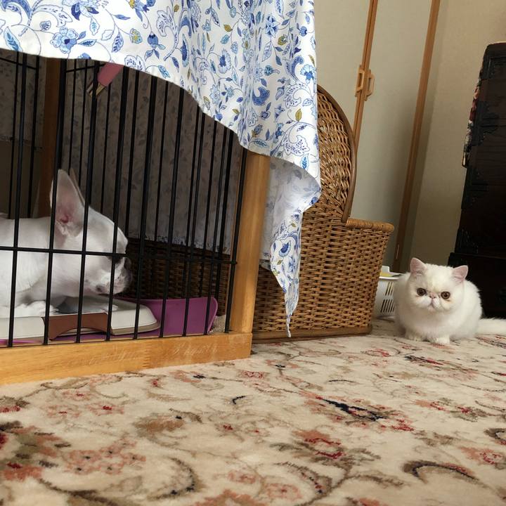 52462ae2 d94e 45f0 a8da baa98511d8af 1562413227514