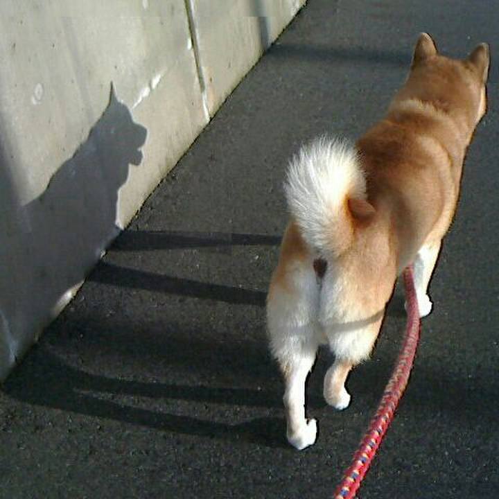 52463b7e d3cf 4f68 ab21 e040b68beb2f 1509264012661