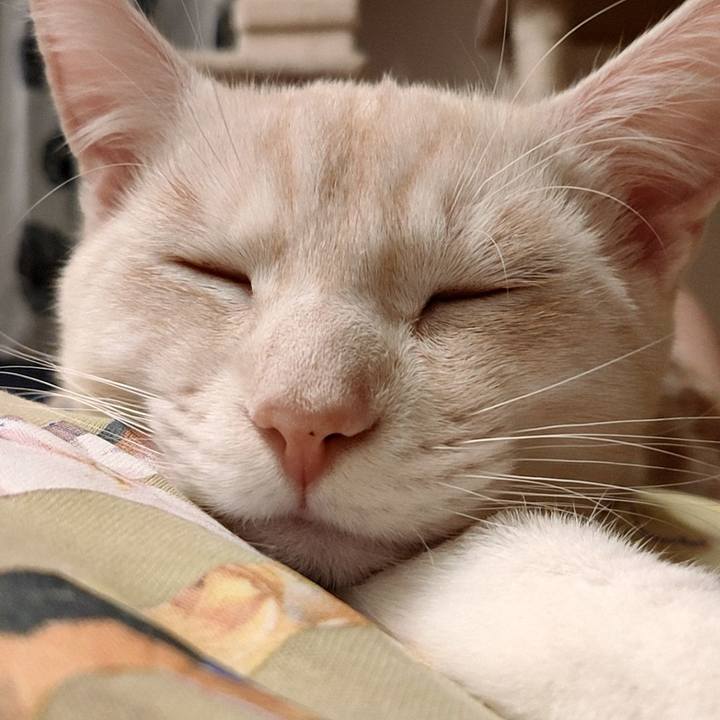 524659d1 fb3a 4120 a3cb 523d79d288ad 1636714358559