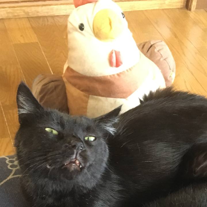 52465d16 225d 4dc0 b690 2f835dda84af 1534156334187