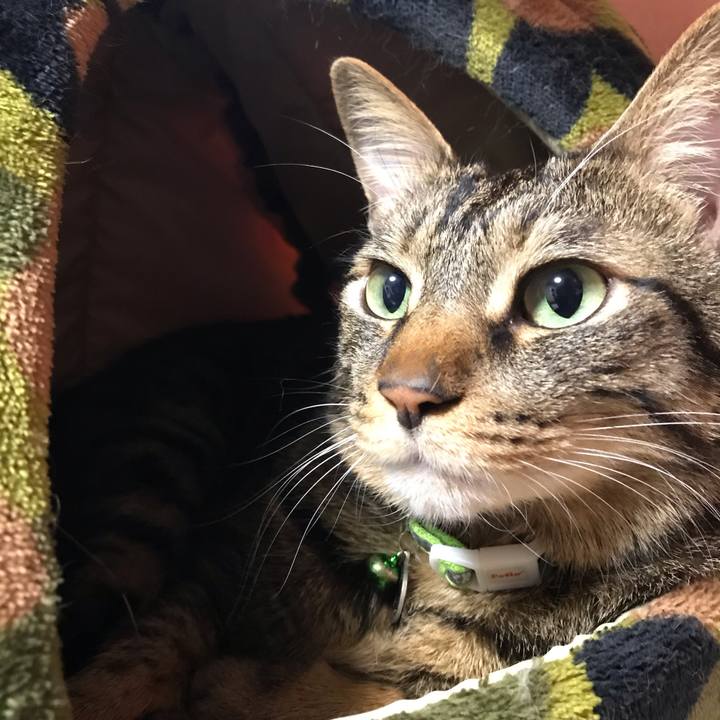 52467bcb 85f4 4ad9 a21f 05b947cdd49a 1578152194056