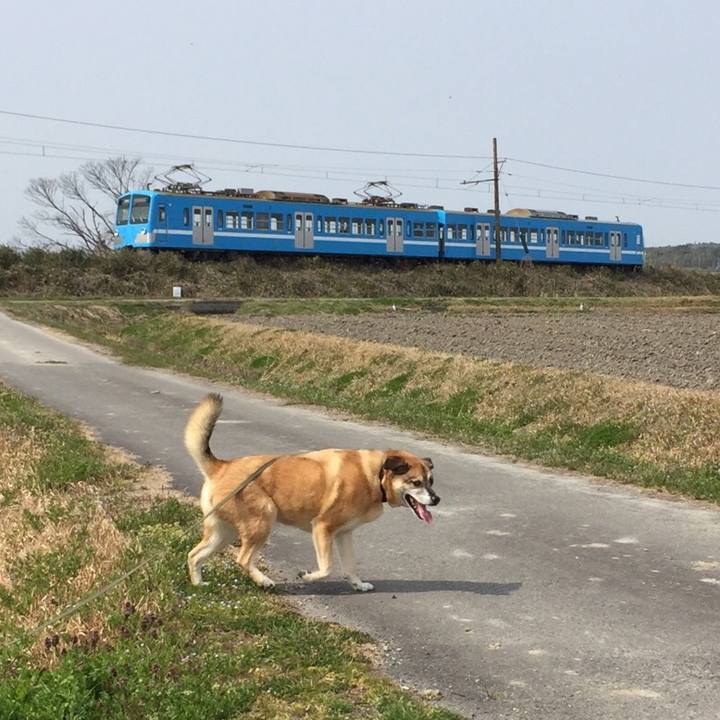 5246c70c 81e3 4597 82de 278ab2646620 1553836846152