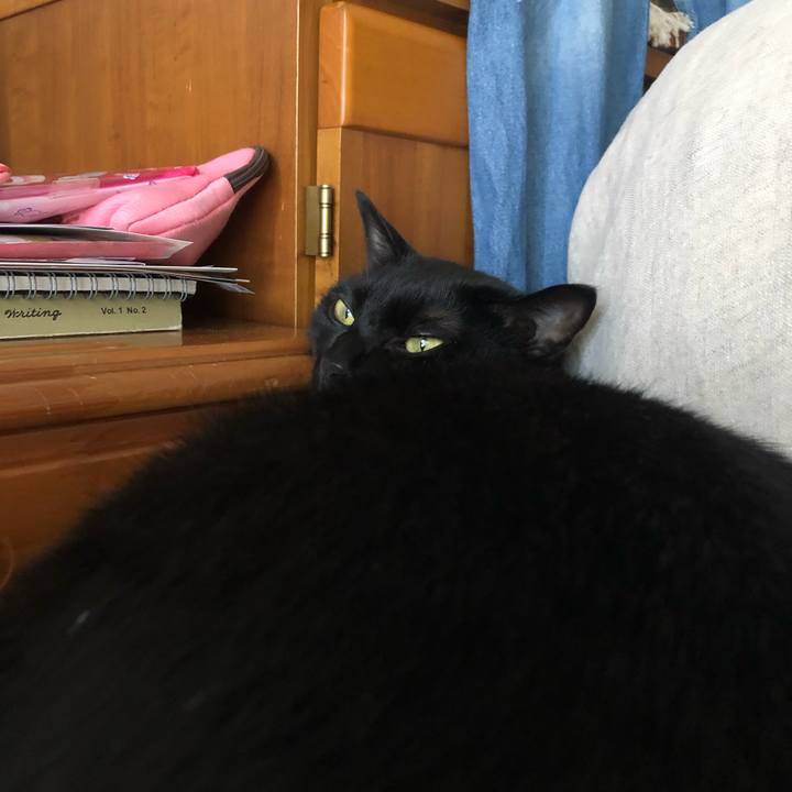 5246cb98 ff5d 4c68 82e7 9448d3b9700e 1562455793525