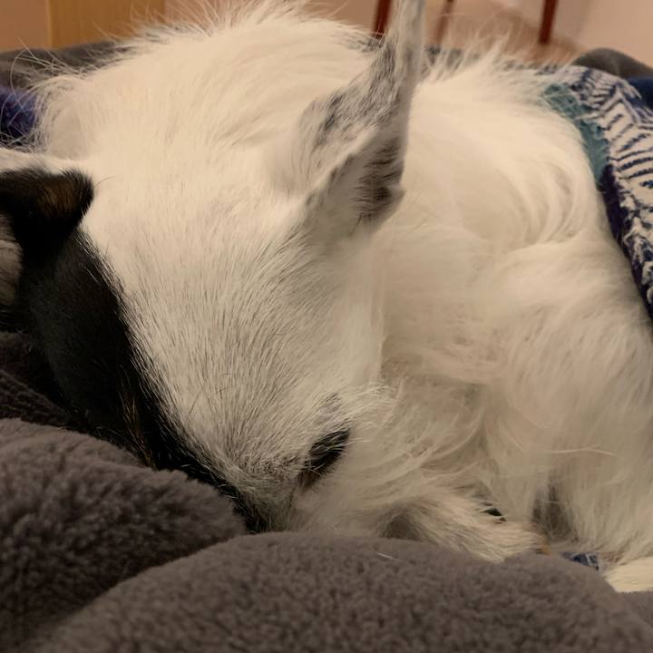 5246cc0a ddc7 4009 b66c 6e72a83b6ad4 1706524838631