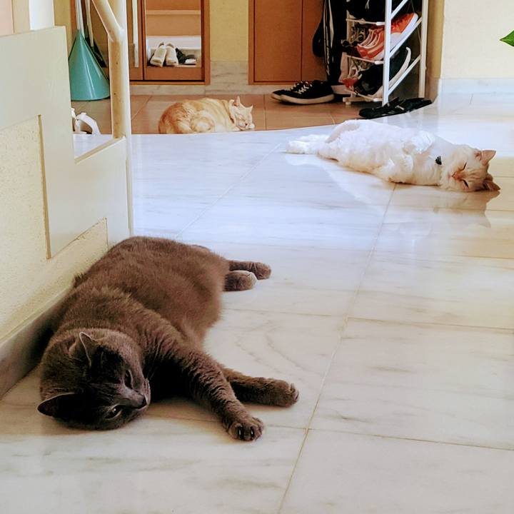 5246d633 db5c 498c 8ee7 80227a52a937 1722064763426