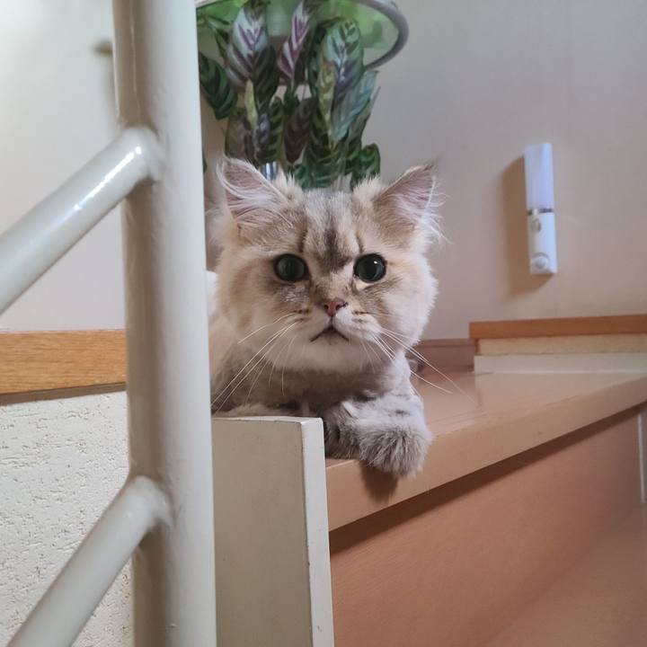 5247008b a933 4260 9b0a 78630e4d645e 1624523378592