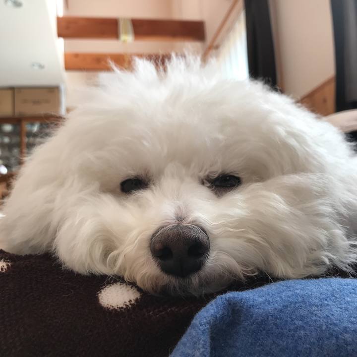 5247079c d5a1 47fa 87b9 48ed33b7a5e7 1544837429176