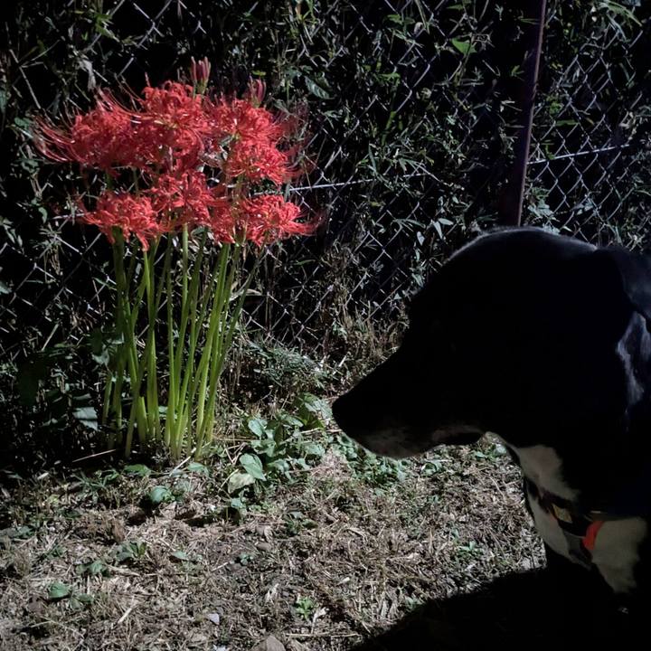 52471fc4 fef3 4b90 a0a7 8726d8781762 1758546097647