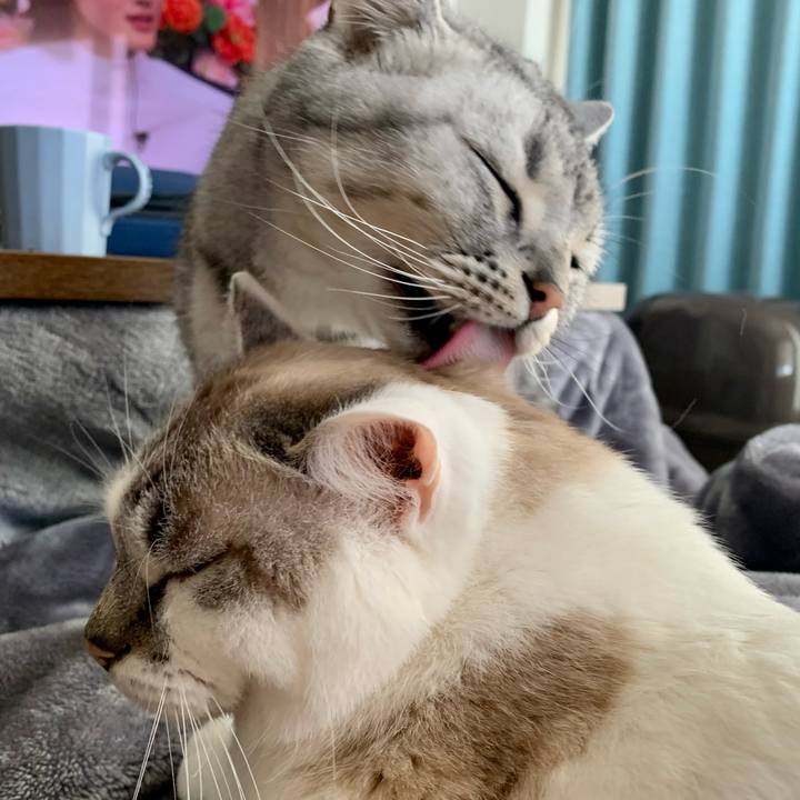 52472a8b d5bf 466f bb4e 03483935b984 1675565705059