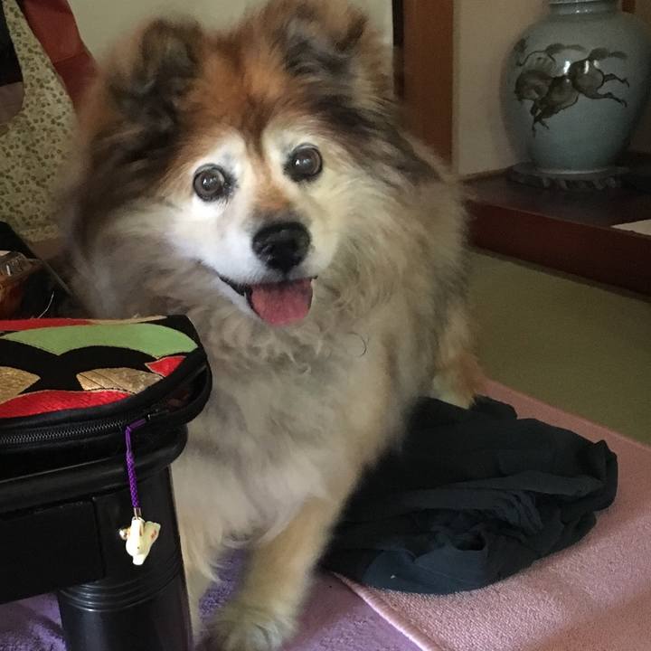 524778c6 ecf8 4ea6 bfd8 8ff0c1b869d2 1564303500926