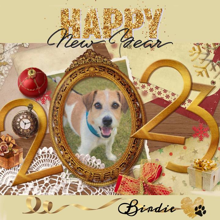 52477e3b 0019 41b8 81c7 17a4a2ca1ea3 1672532395752