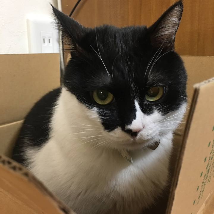 52479f61 4781 4bac b867 694dc078569f 1516187489244