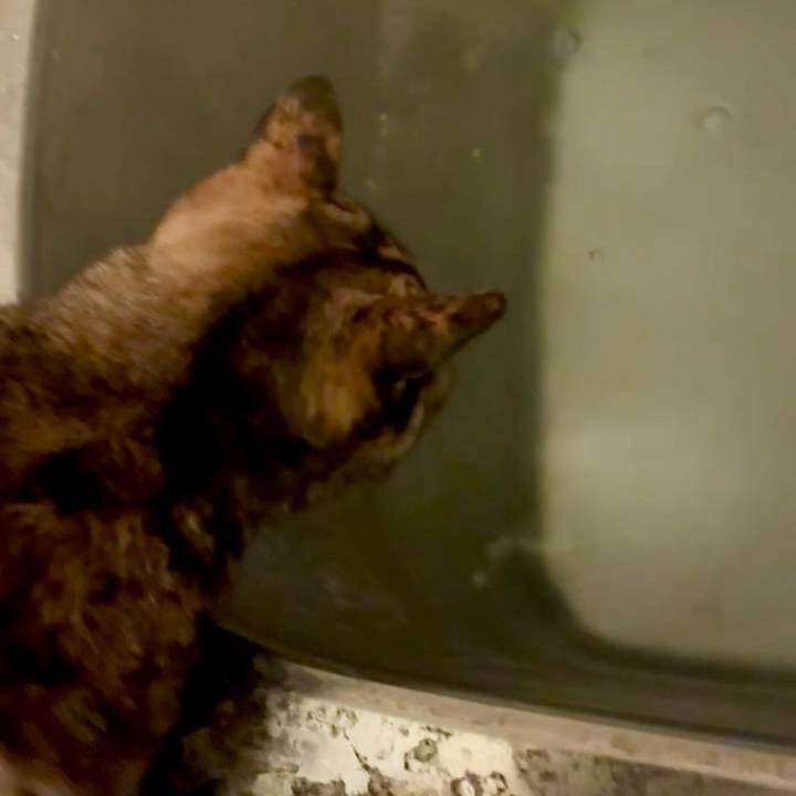 524835f1 adcc 4192 9353 164b4477b1fc 1764361962287